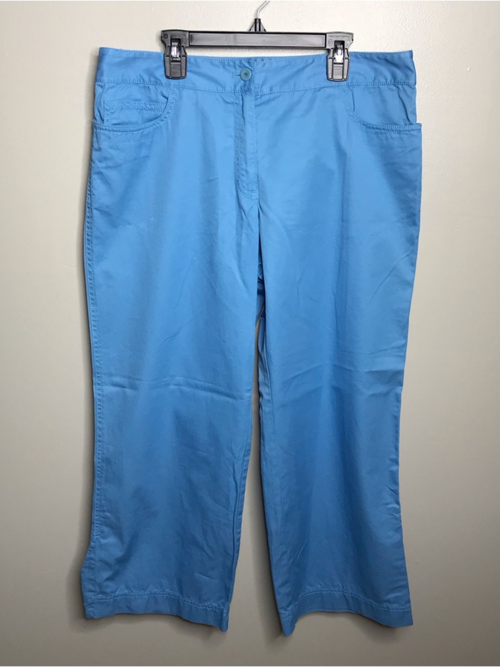 Eileen Fisher Sky Blue Cropped Horizn Pants Women’s Size Medium